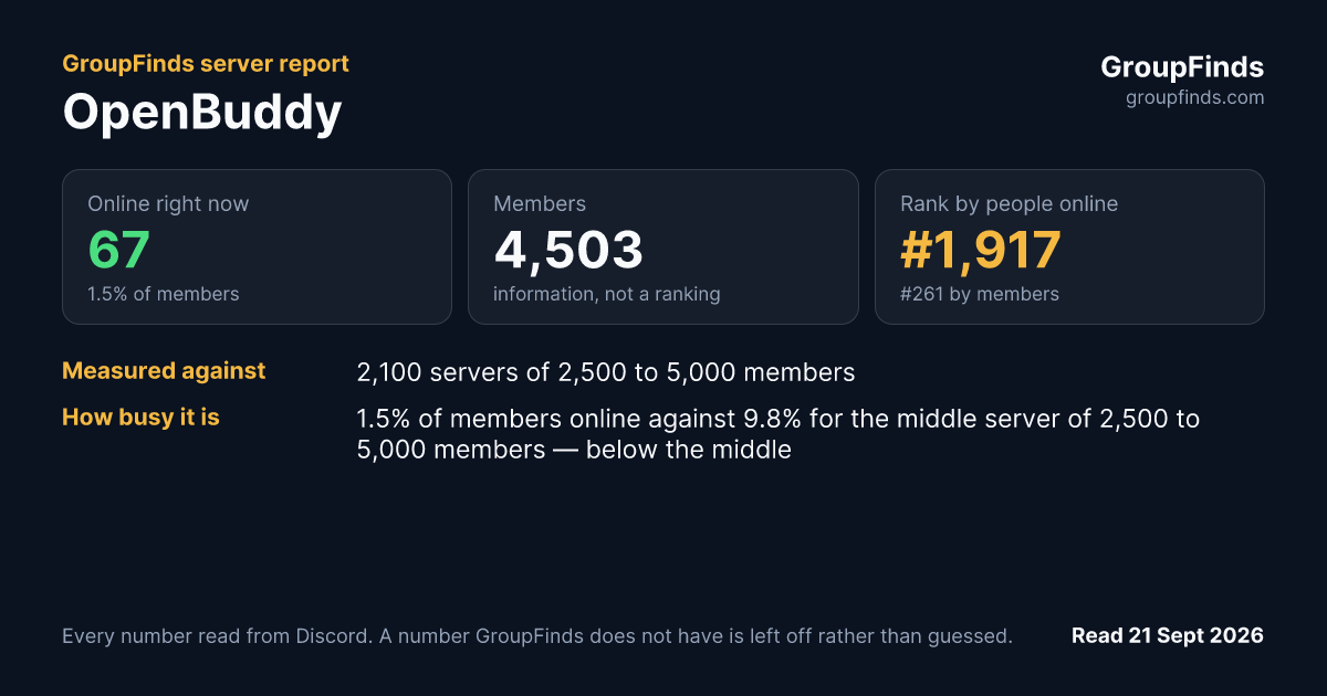 OpenBuddy's GroupFinds server report