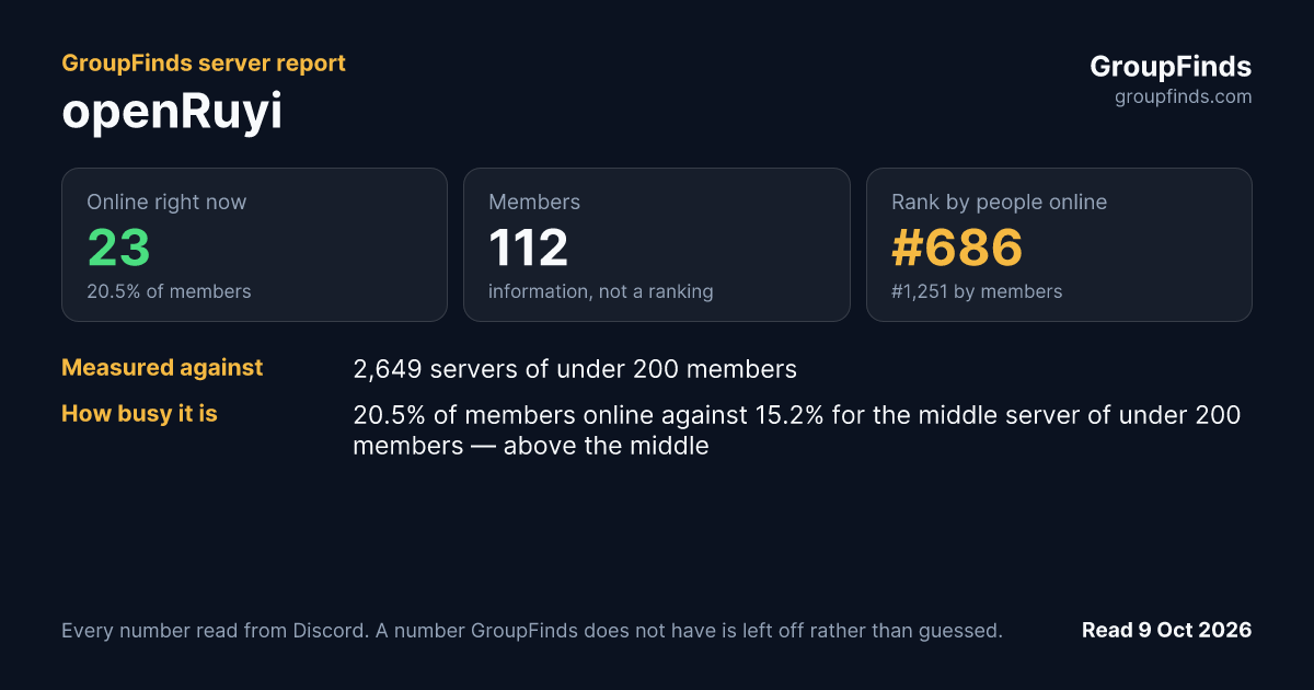openRuyi's GroupFinds server report