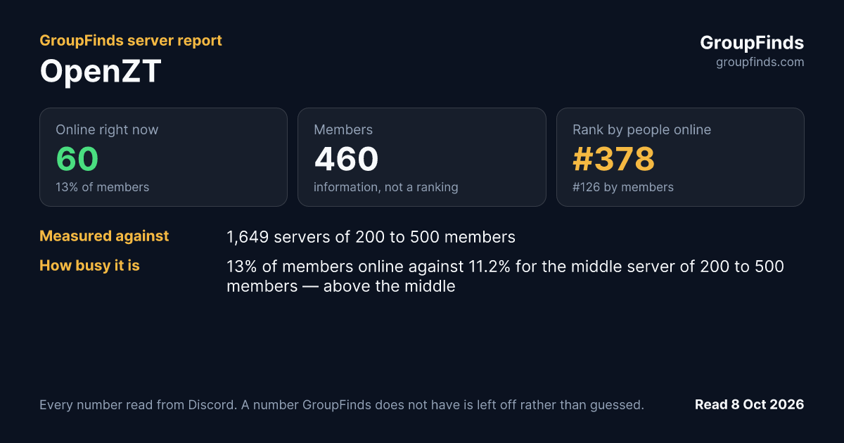 OpenZT's GroupFinds server report
