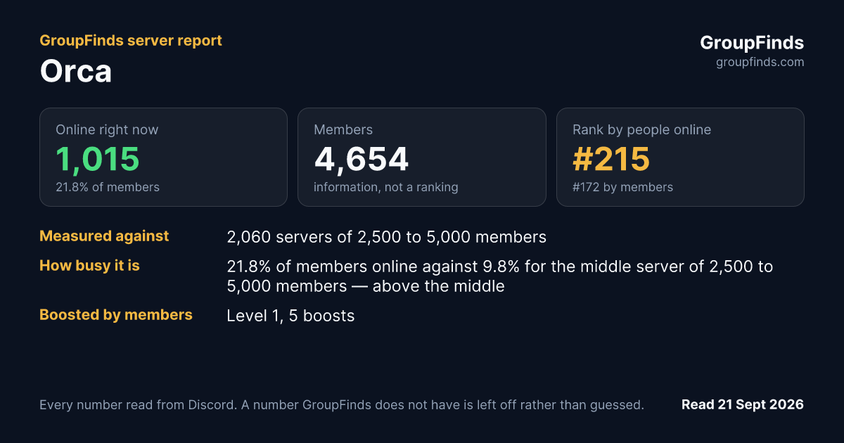 Orca's GroupFinds server report