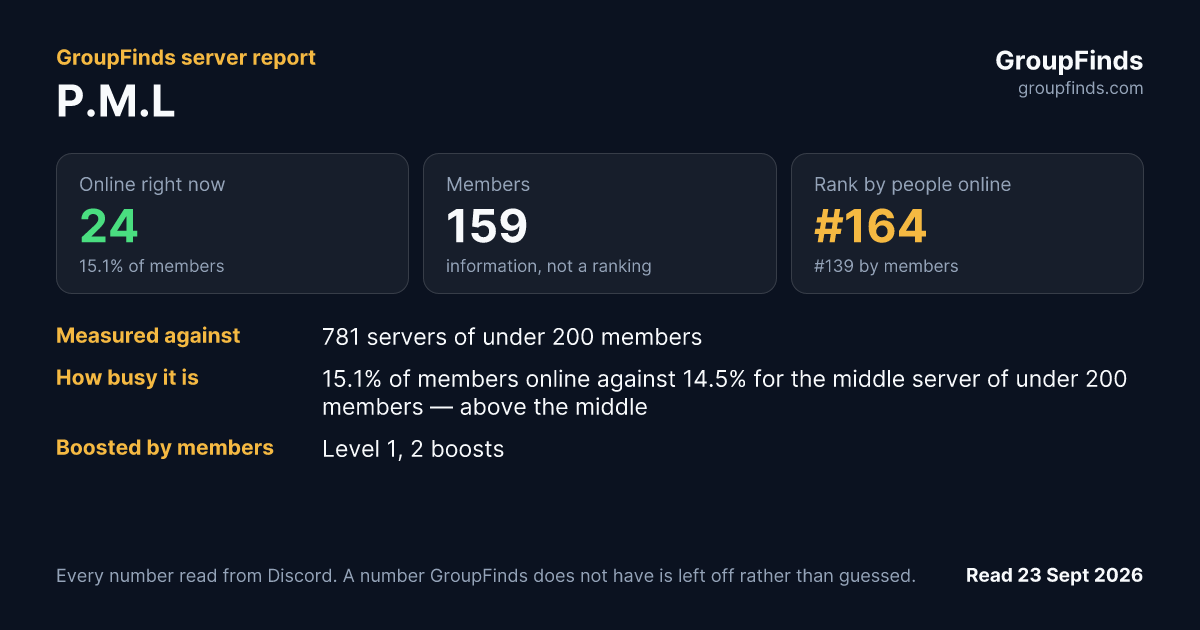 P.M.L's GroupFinds server report