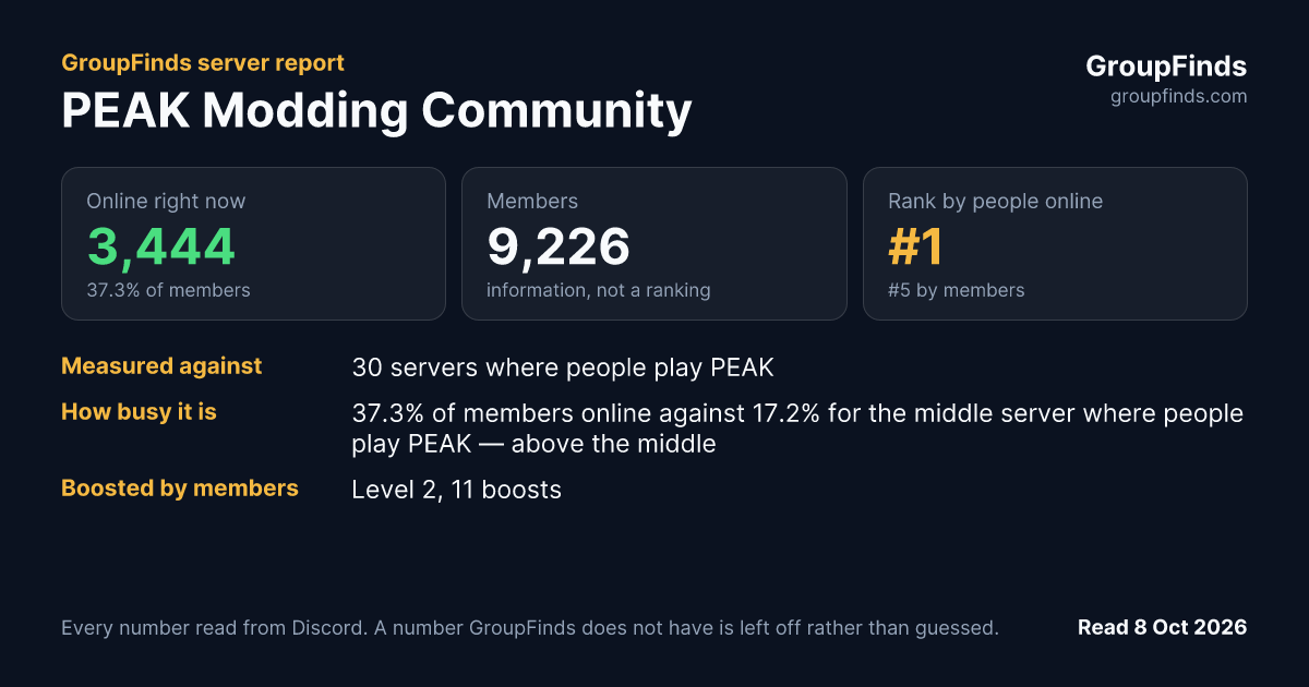 PEAK Modding Community's GroupFinds server report