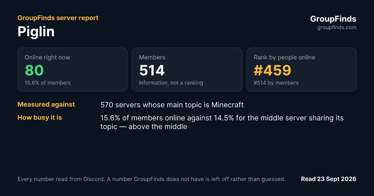Piglin's GroupFinds server report
