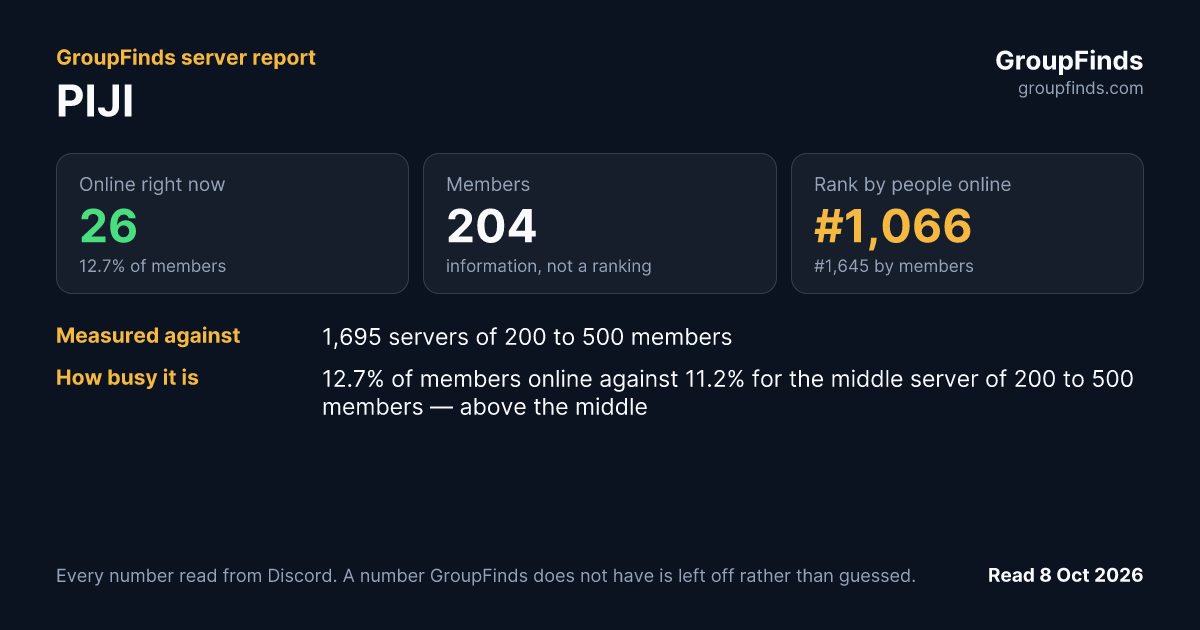PIJI's GroupFinds server report