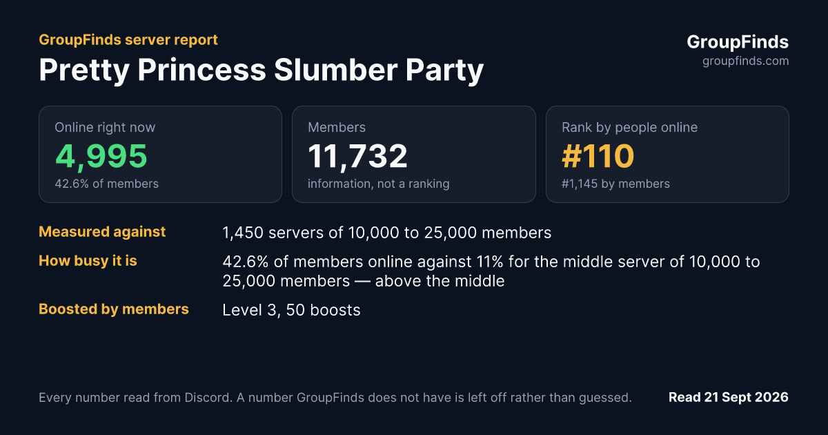 Pretty Princess Slumber Party's GroupFinds server report