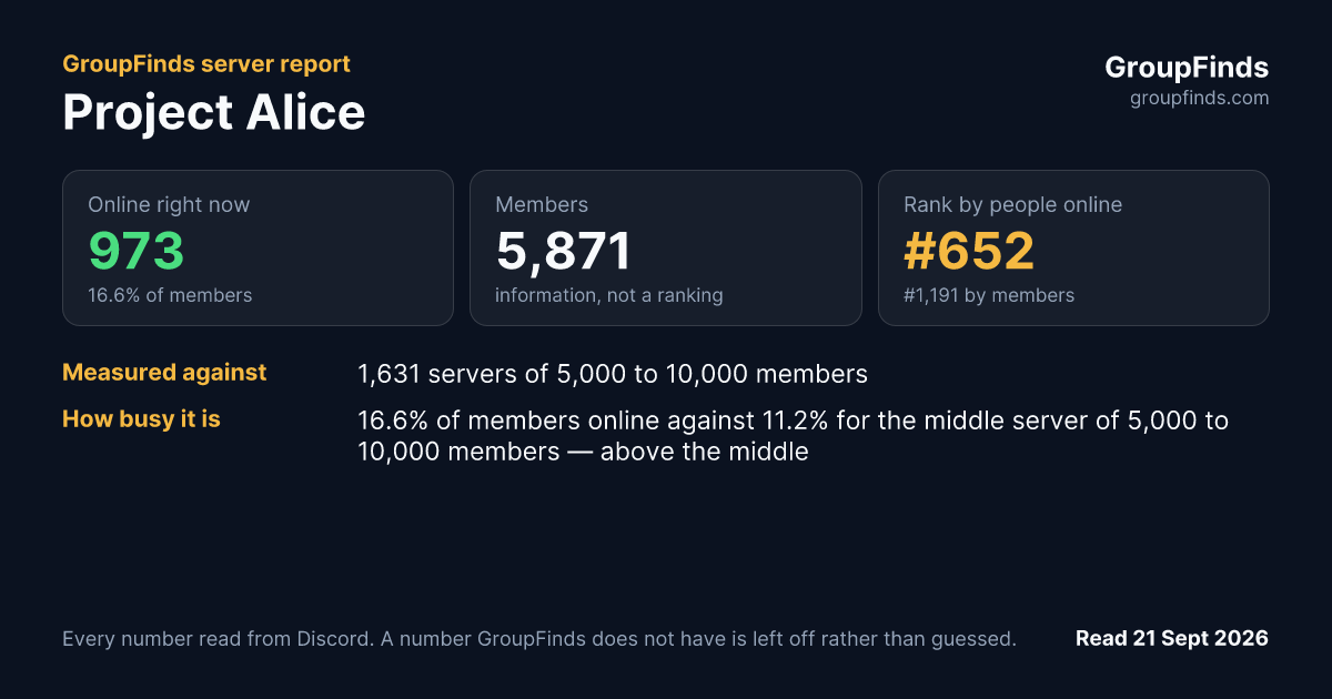 Project Alice's GroupFinds server report