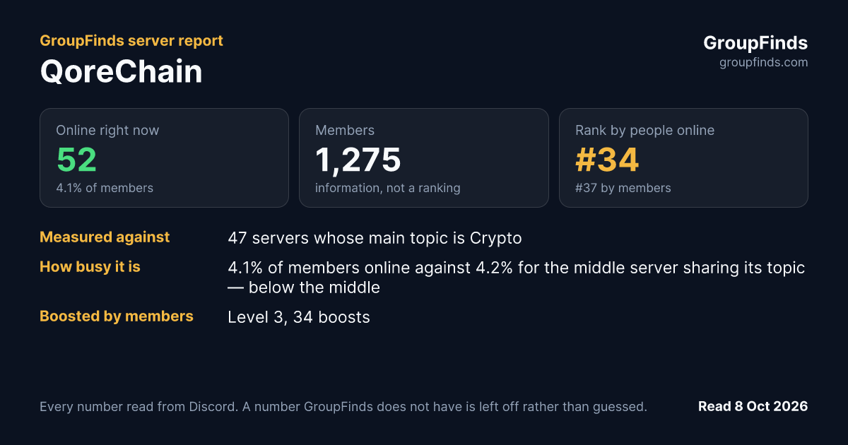 QoreChain's GroupFinds server report