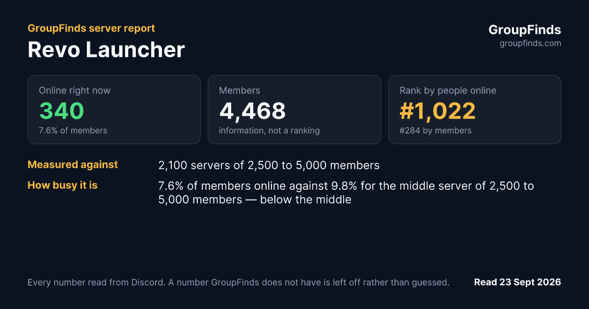 Revo Launcher's GroupFinds server report