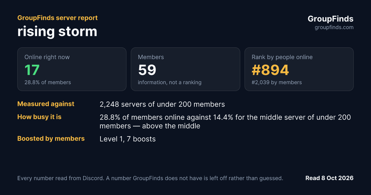 rising storm's GroupFinds server report