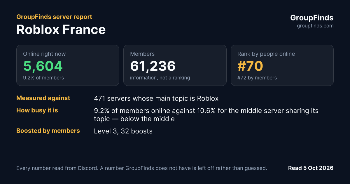 Roblox France's GroupFinds server report