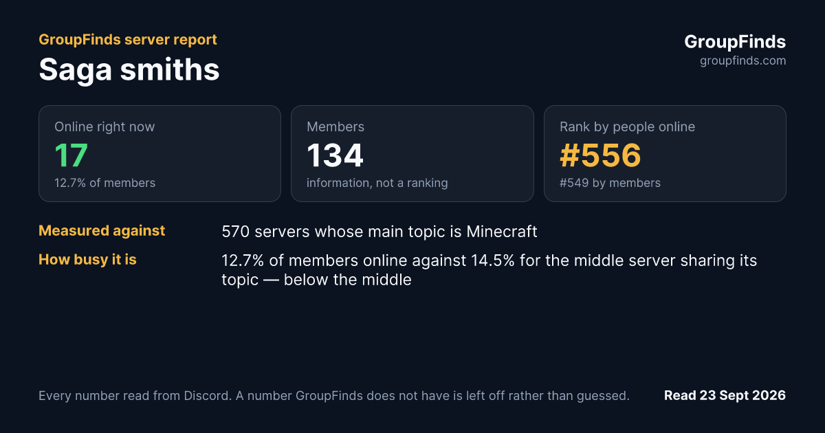 Saga smiths's GroupFinds server report
