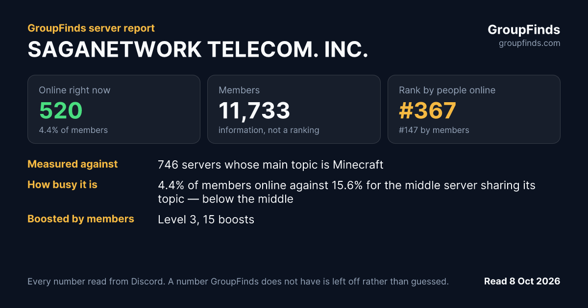 SAGANETWORK TELECOM. INC.'s GroupFinds server report