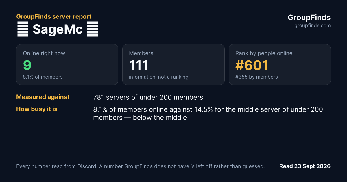 🎢 SageMc 🎢's GroupFinds server report