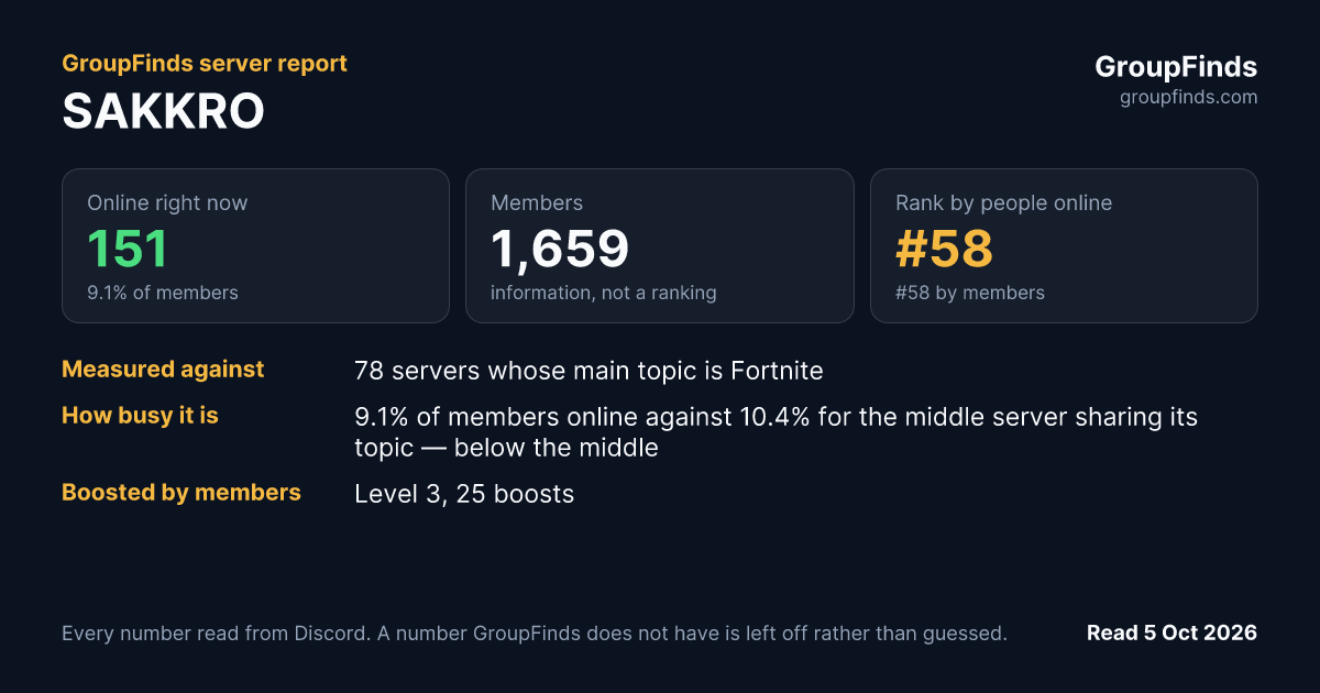 SAKKRO's GroupFinds server report