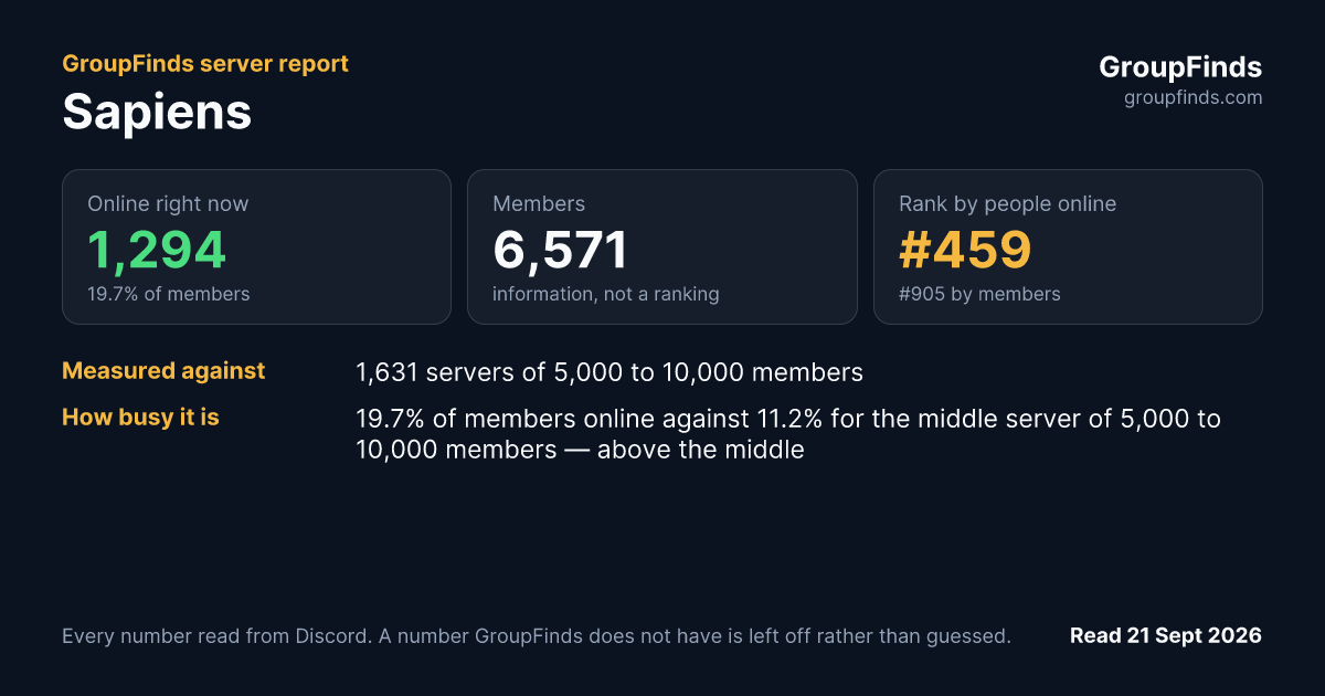 Sapiens's GroupFinds server report