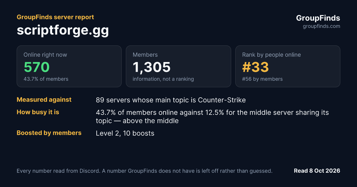 scriptforge.gg's GroupFinds server report