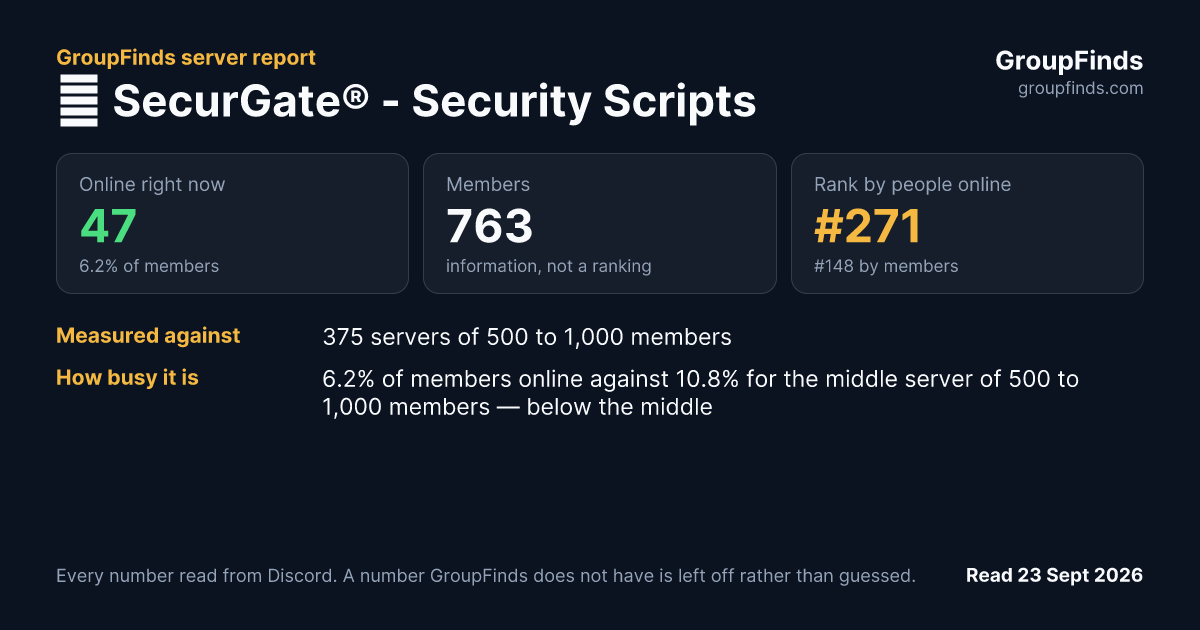 🔒 SecurGate® - Security Scripts's GroupFinds server report