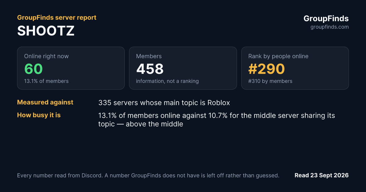 SHOOTZ's GroupFinds server report