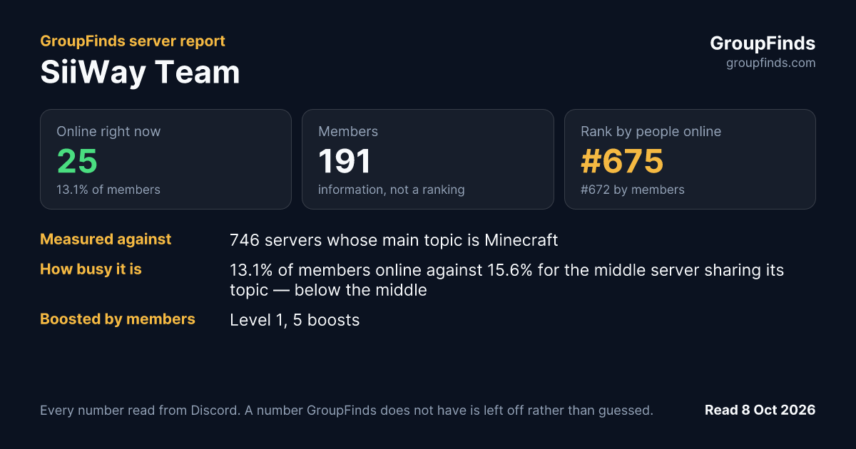 SiiWay Team's GroupFinds server report