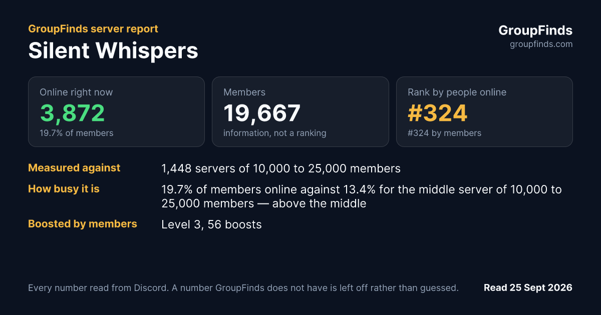 Silent Whispers's GroupFinds server report