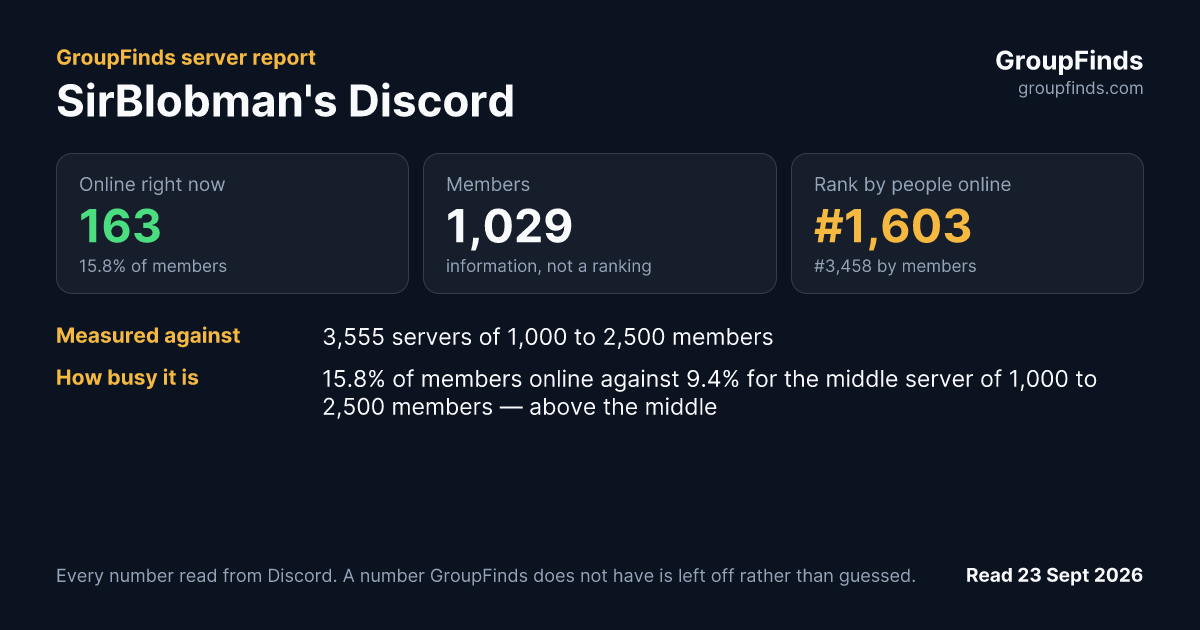 SirBlobman's Discord's GroupFinds server report