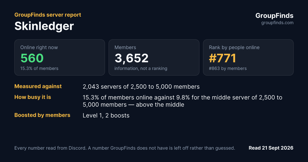 Skinledger's GroupFinds server report