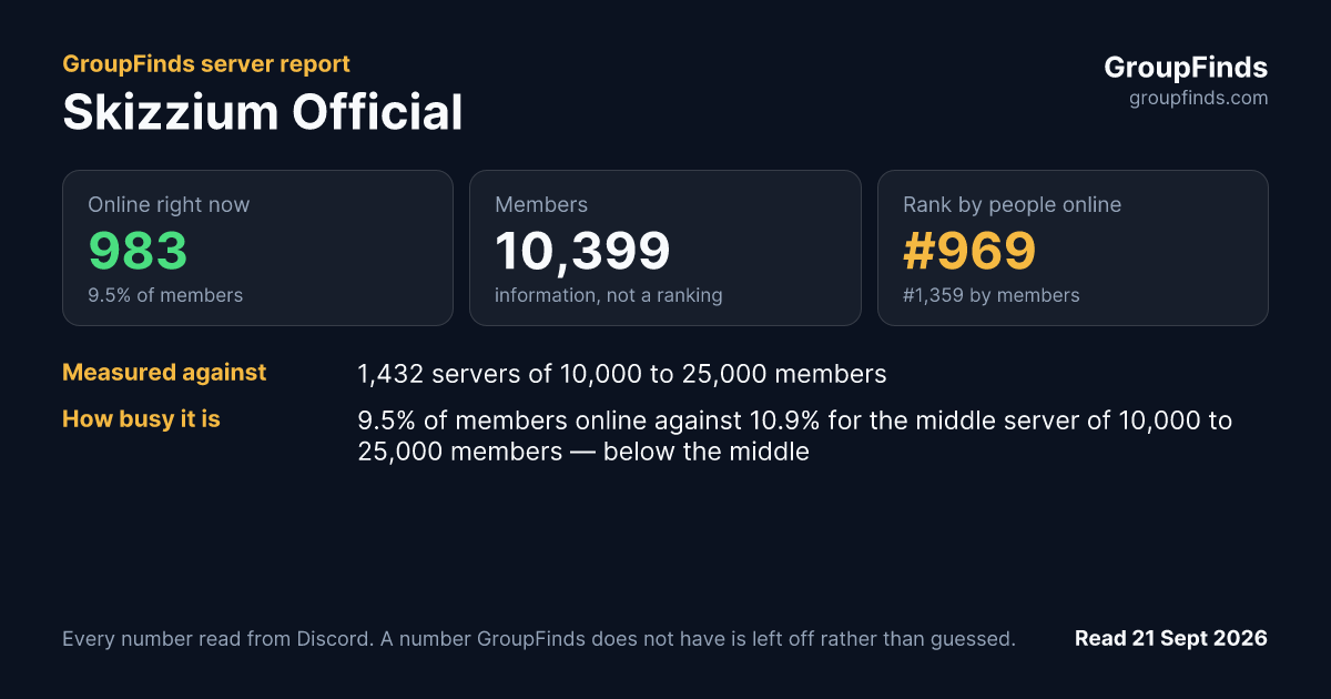 Skizzium Official's GroupFinds server report