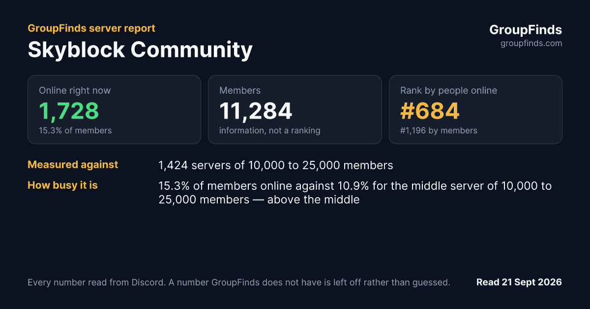 Skyblock Community's GroupFinds server report