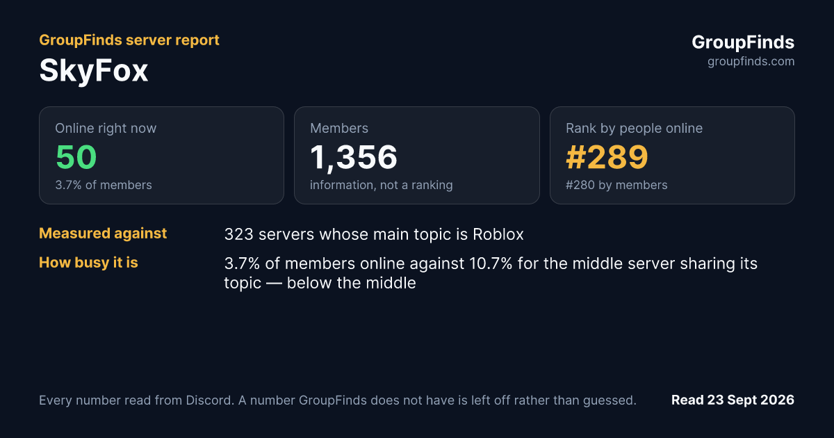 SkyFox's GroupFinds server report