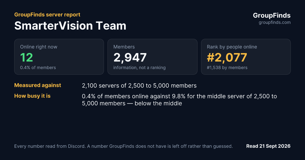 SmarterVision Team's GroupFinds server report