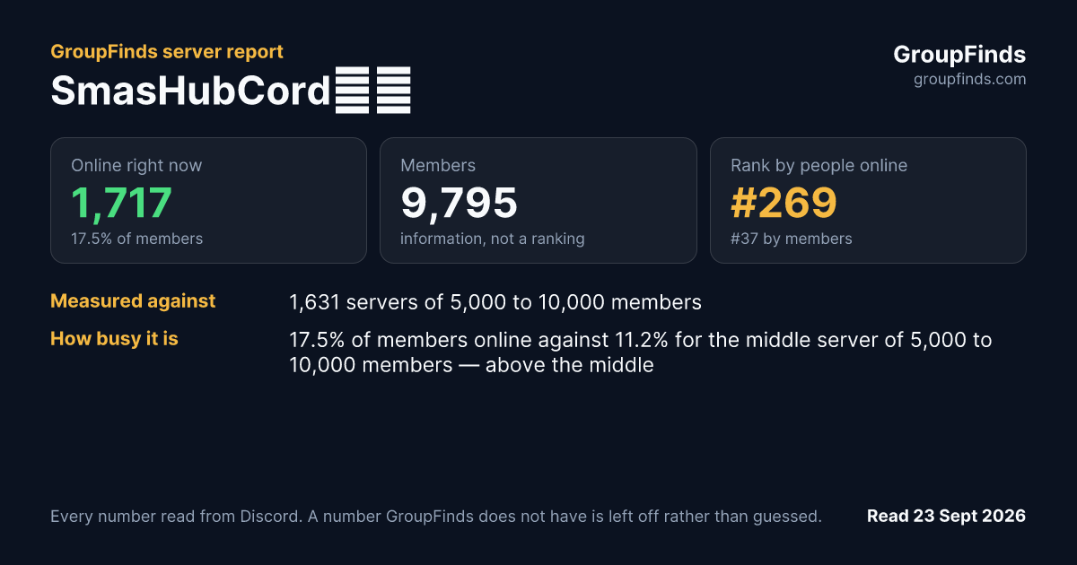 SmasHubCord🇫🇷's GroupFinds server report