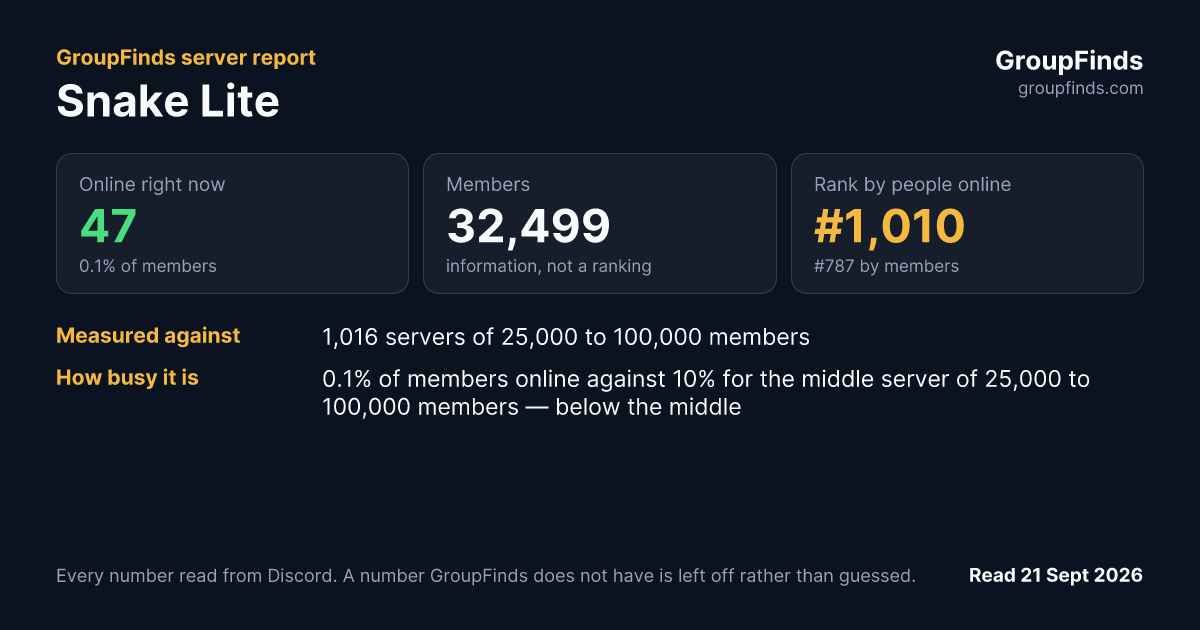 Snake Lite's GroupFinds server report