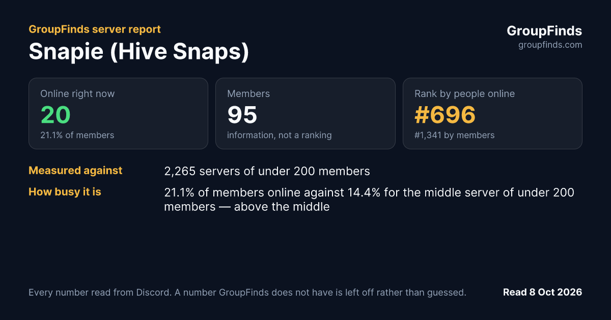 Snapie (Hive Snaps)'s GroupFinds server report