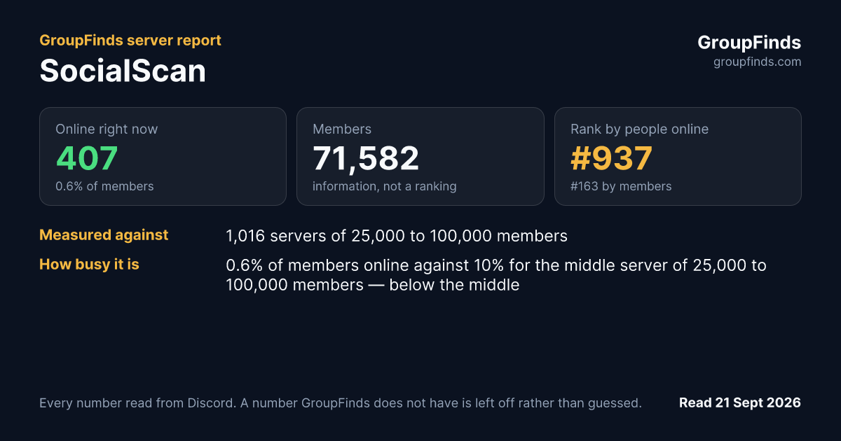 SocialScan's GroupFinds server report