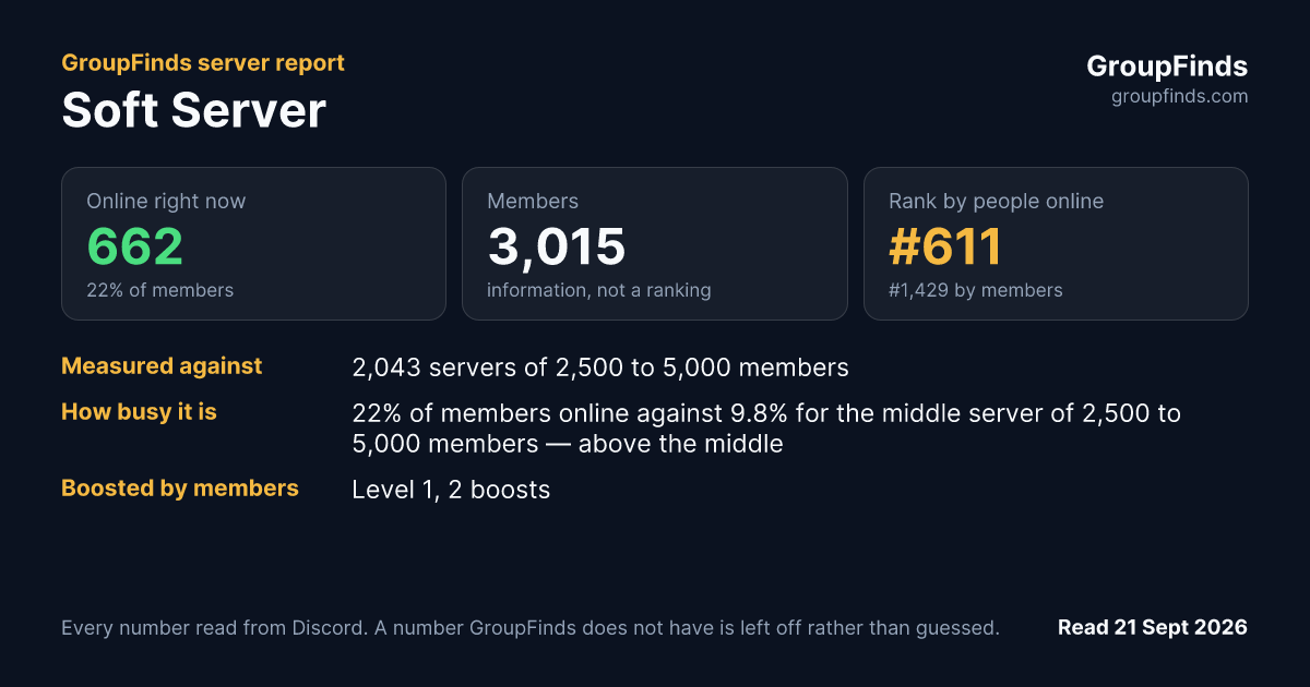 Soft Server's GroupFinds server report