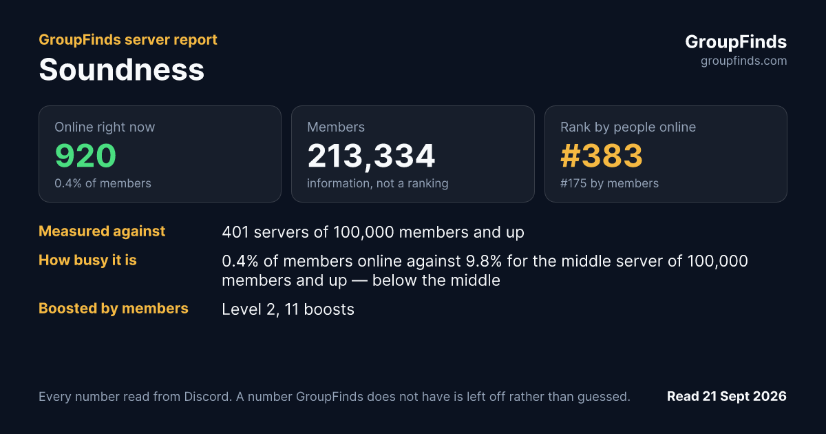 Soundness's GroupFinds server report
