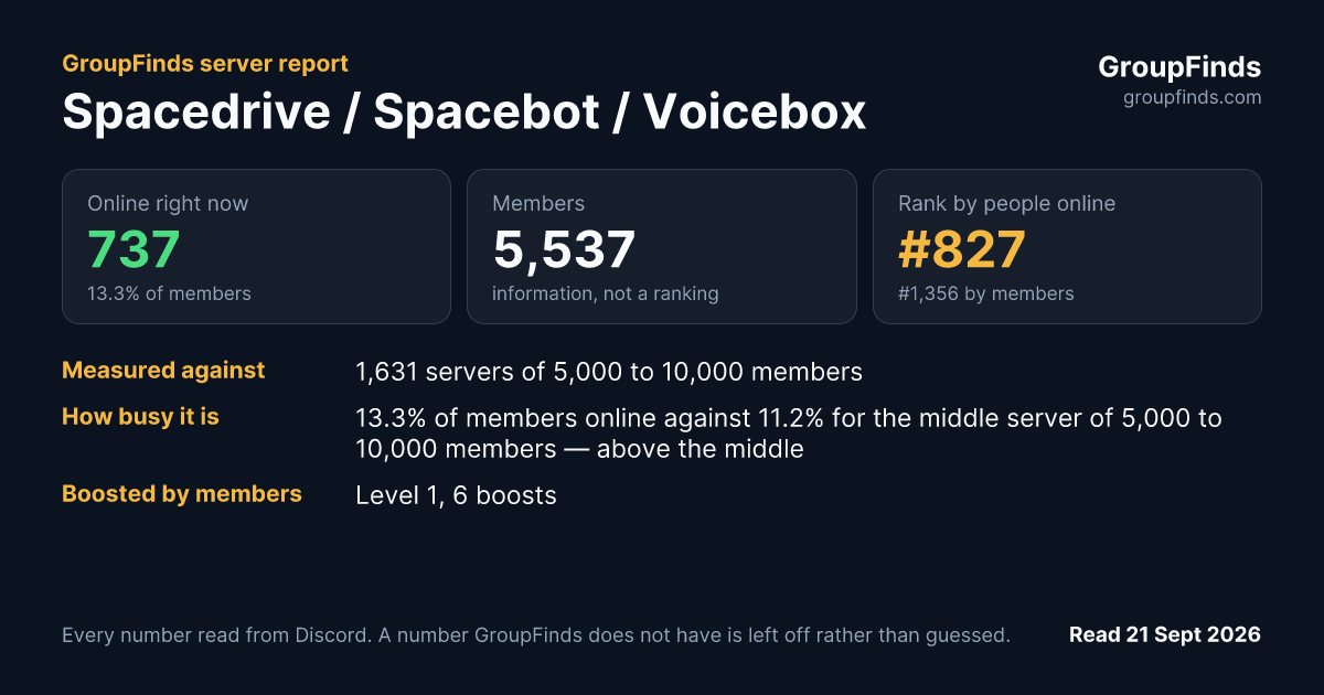 Spacedrive / Spacebot / Voicebox's GroupFinds server report
