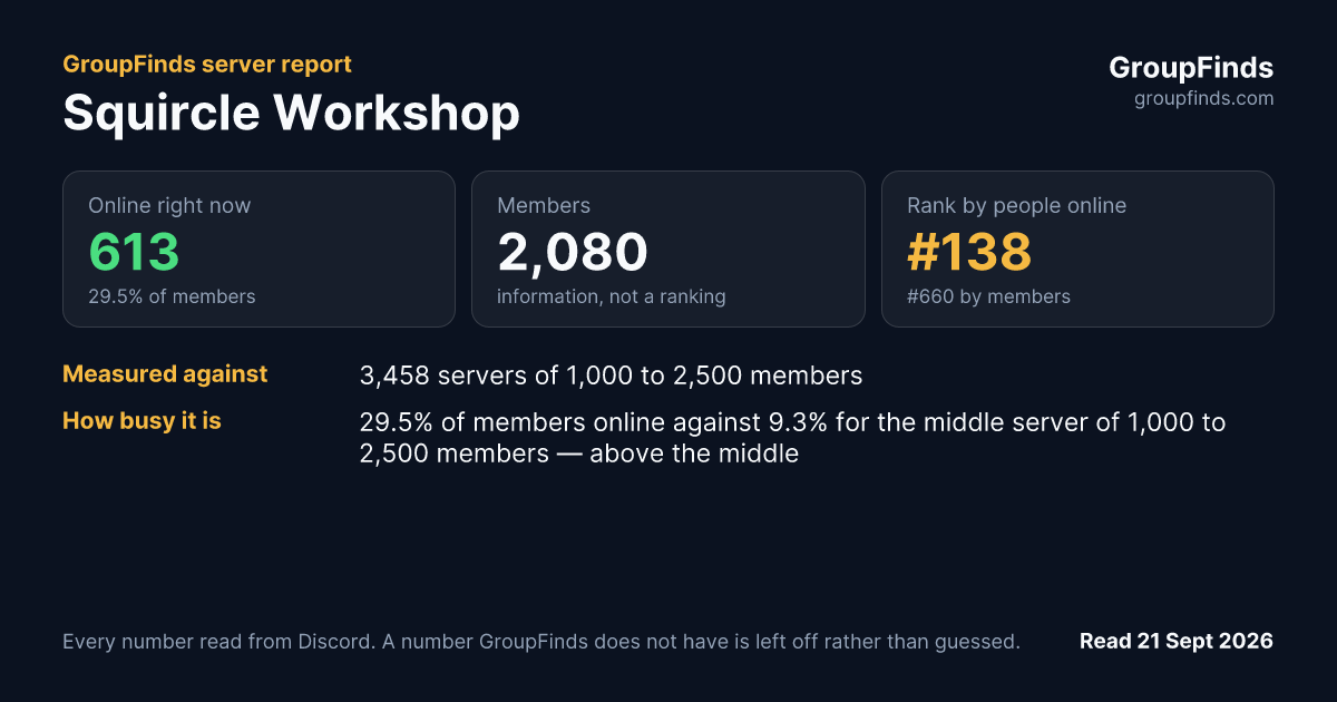 Squircle Workshop's GroupFinds server report
