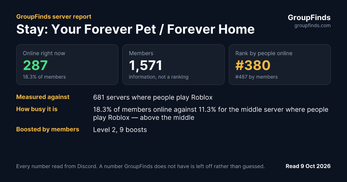 Stay: Your Forever Pet / Forever Home's GroupFinds server report
