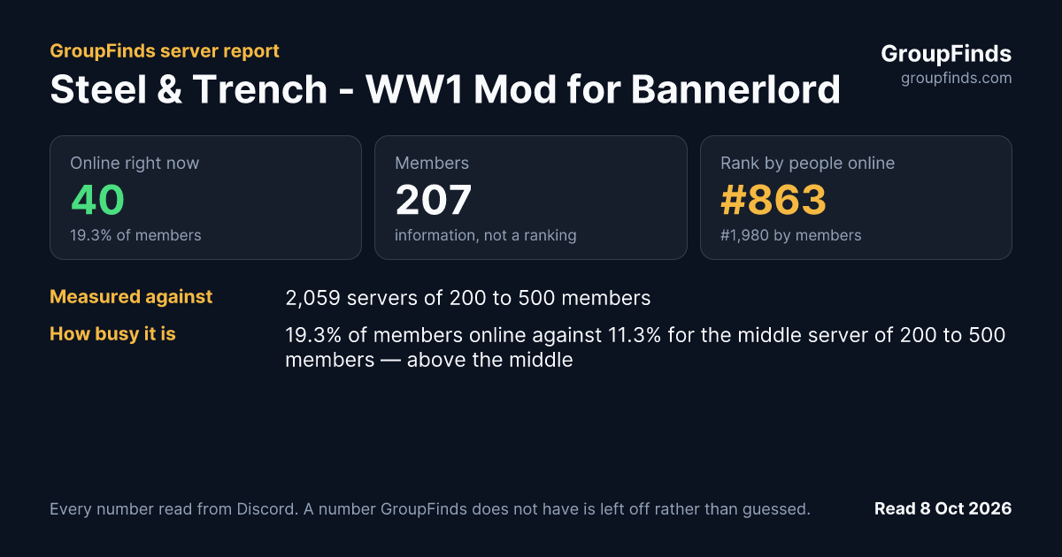 Steel & Trench - WW1 Mod for Bannerlord's GroupFinds server report