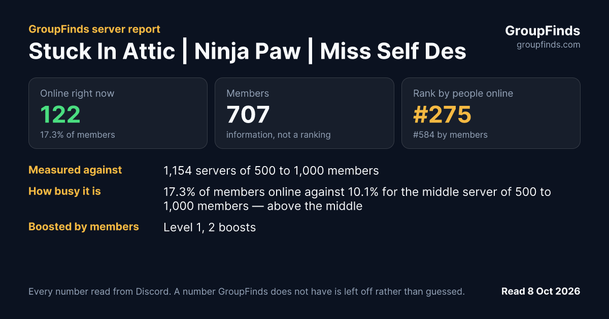 Stuck In Attic | Ninja Paw | Miss Self Destruct's GroupFinds server report