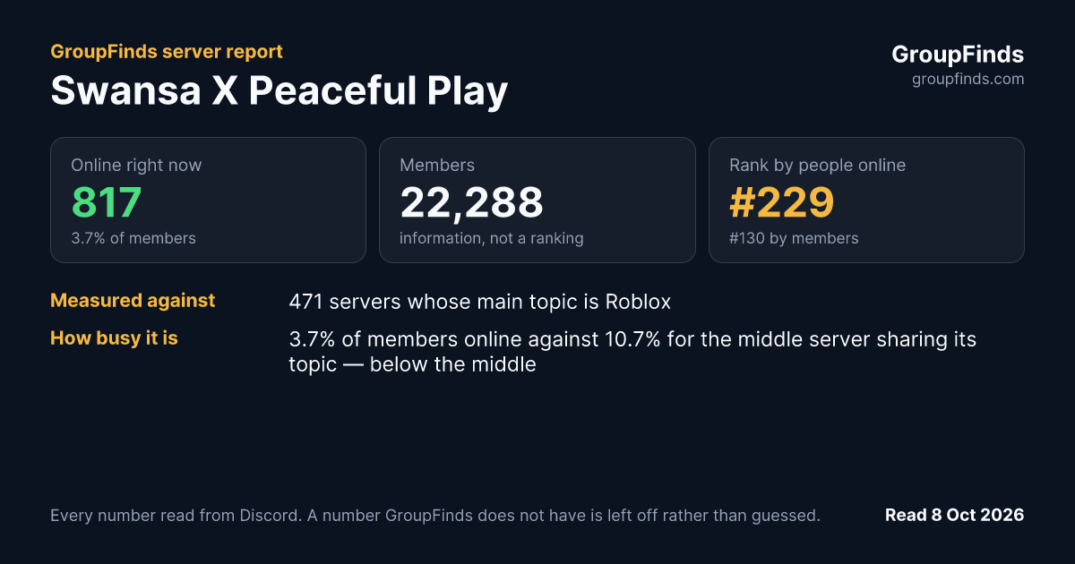 Swansa X Peaceful Play's GroupFinds server report