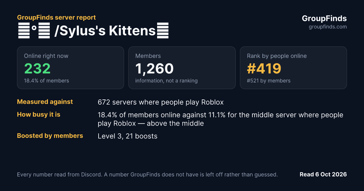 ⋆°｡ /Sylus's Kittens🎀's GroupFinds server report