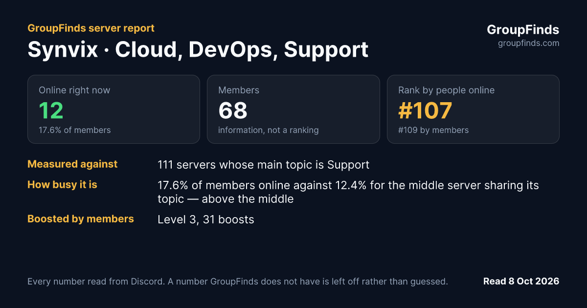 Synvix · Cloud, DevOps, Support's GroupFinds server report