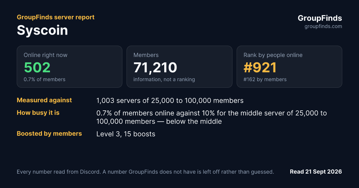 Syscoin's GroupFinds server report