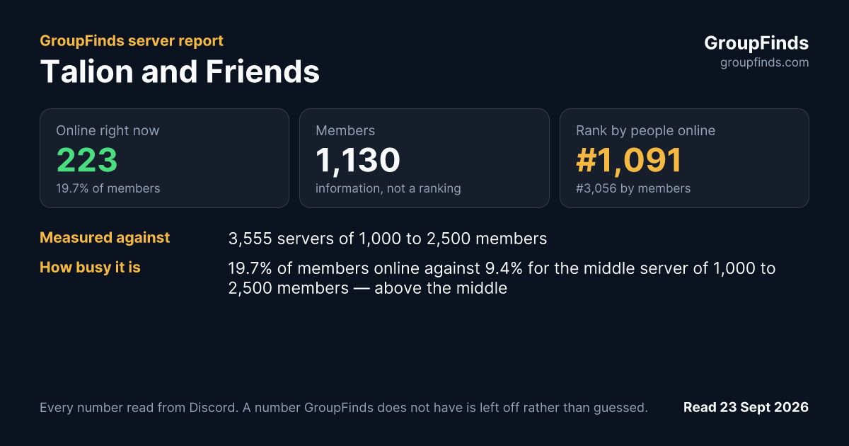 Talion and Friends's GroupFinds server report