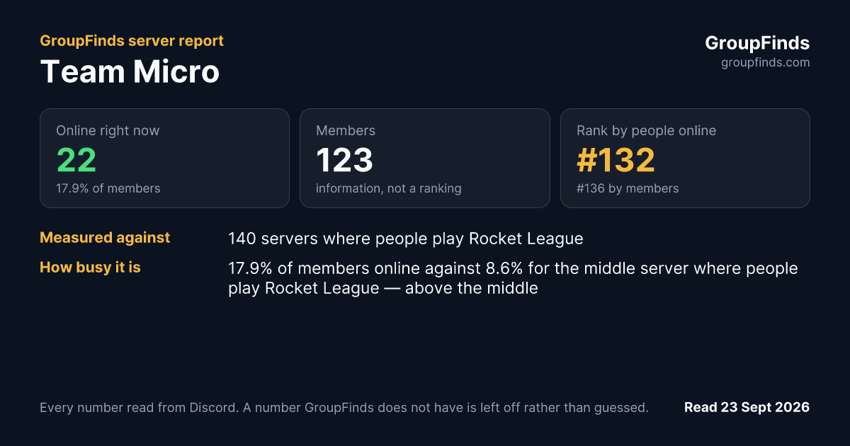 Team Micro's GroupFinds server report
