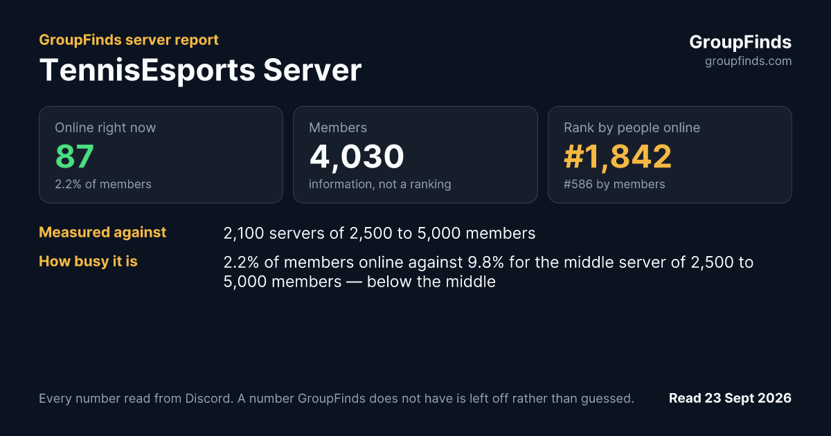 TennisEsports Server's GroupFinds server report