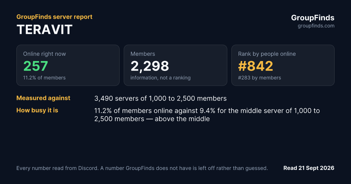TERAVIT's GroupFinds server report