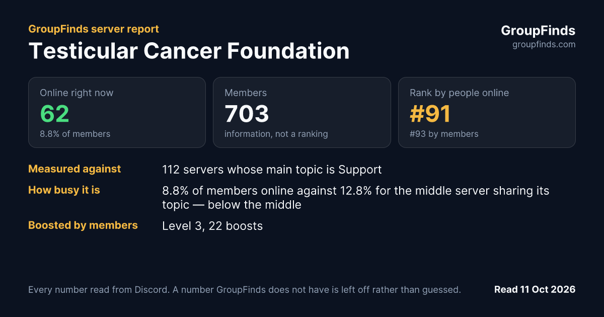 Testicular Cancer Foundation's GroupFinds server report